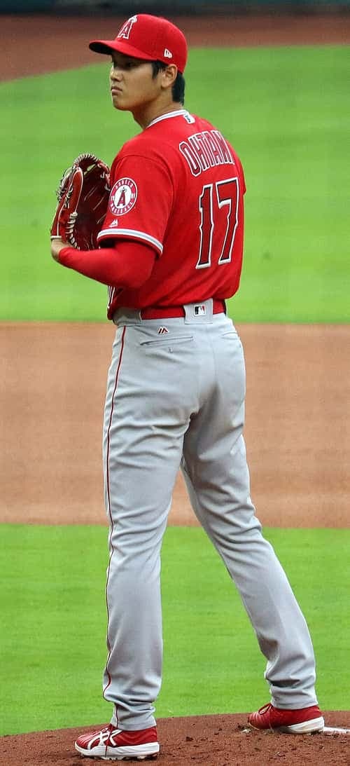 Shohei Ohtani — photo 1