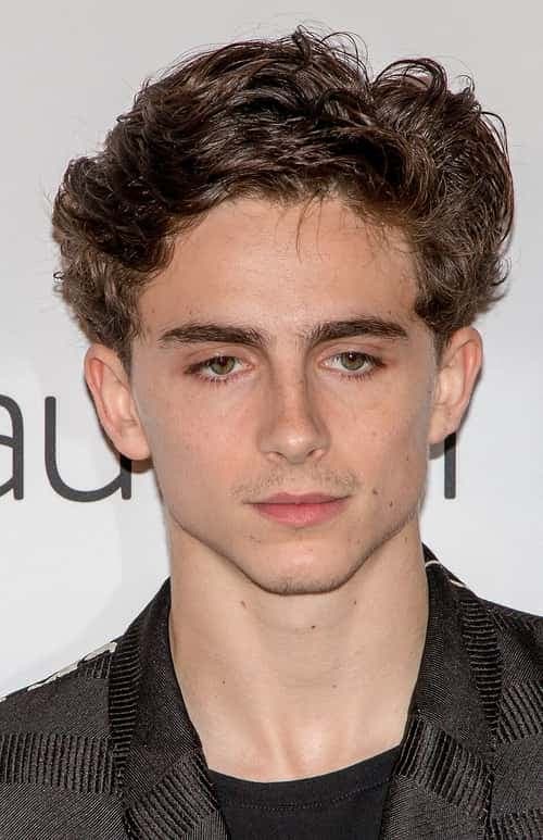 Timothée Chalamet — photo 1